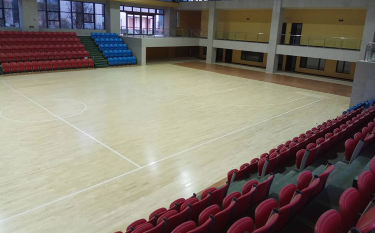 體育場運動木地板