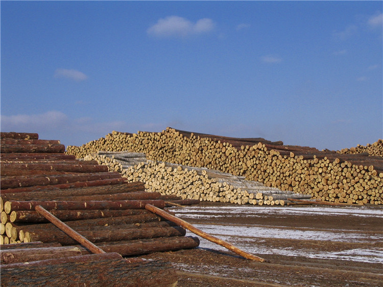 實木運動地板工廠
