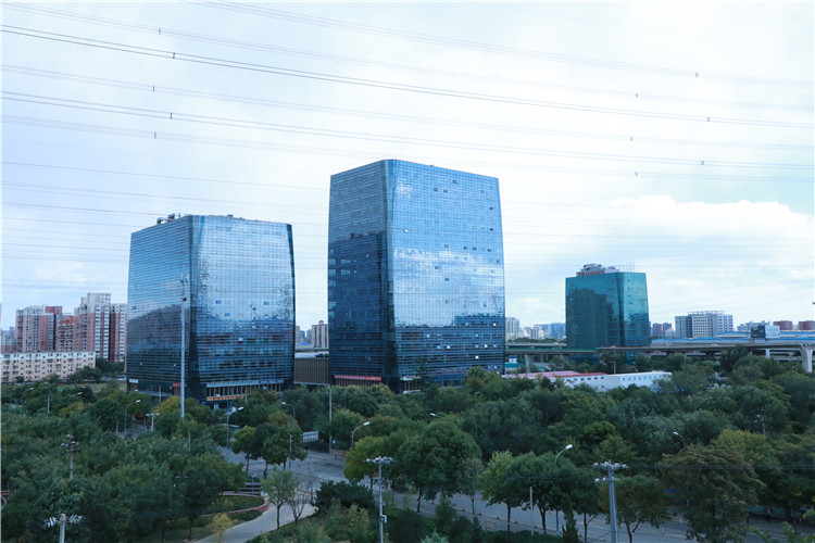 實(shí)木運(yùn)動(dòng)地板施工團(tuán)隊(duì)