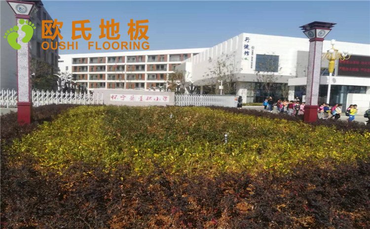 安徽懷寧室內(nèi)籃球館木地板案例