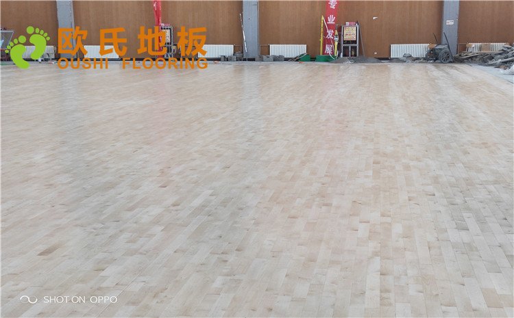 西寧市世紀(jì)職業(yè)技術(shù)學(xué)?；@球訓(xùn)練館木地板圖片