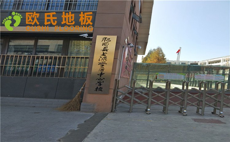安徽合肥上派中心學校體育館木地板案例